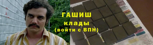 гидра Абаза