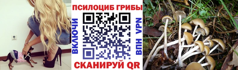 Галлюциногенные грибы Magic Shrooms  Минусинск 