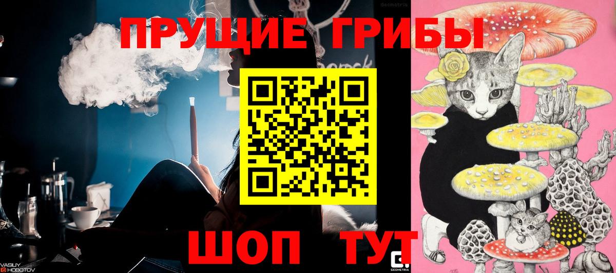 Минусинск  купить наркотики цена  Вход с VPN  Галлюциногенные грибы MAGIC MUSHROOMS 