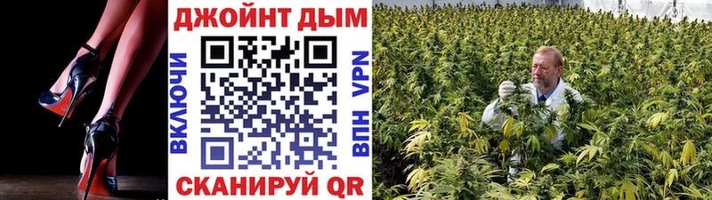 хочу наркоту  ОМГ ОМГ как войти  Канабис планчик  Минусинск 